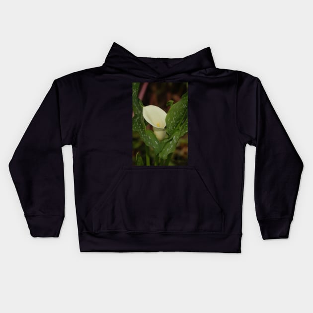 Calla Lily White Spotted Leaves Kids Hoodie by declancarr